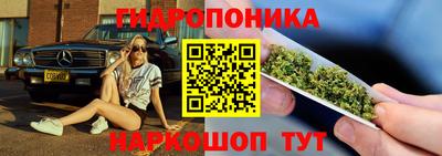 ешки Краснодар