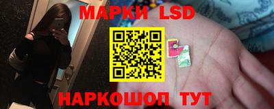 индика Краснокаменск